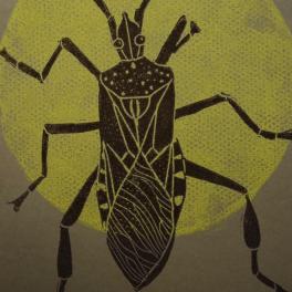 Linoprint ‘Boktor’ – gesigneerde A5 insectenkaart in zwart en neon geel op grijs papier